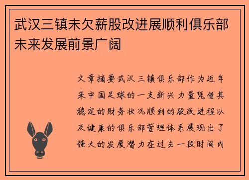 武汉三镇未欠薪股改进展顺利俱乐部未来发展前景广阔